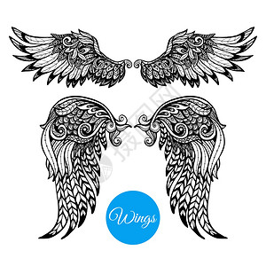 装饰翅膀与手绘观赏羽毛孤立矢量插图装饰翅膀套装高清图片