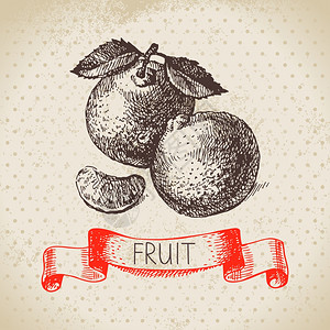 手绘素描水果普通话生态食品背景矢量插图图片