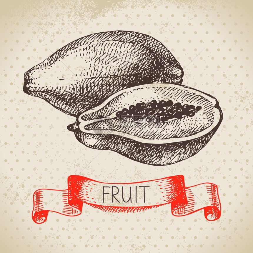 手绘素描水果木瓜生态食品背景矢量插图图片