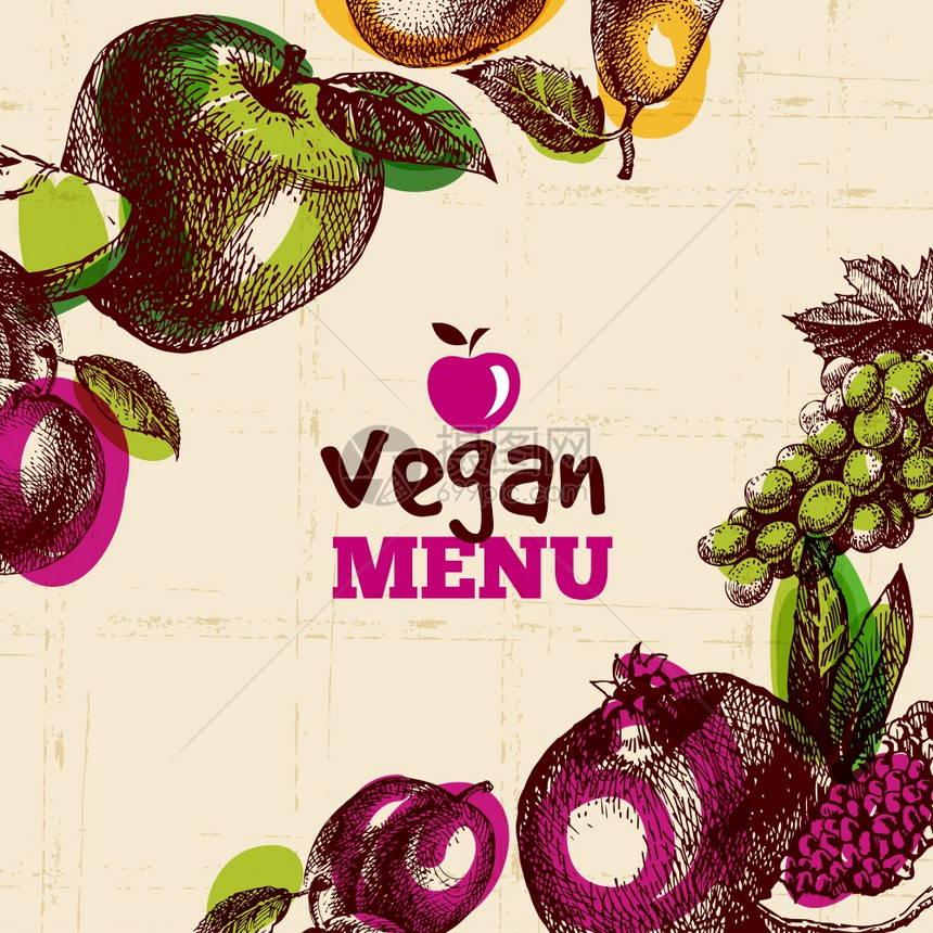 生态食品素食菜单背景水彩画手绘素描水果矢量插图图片
