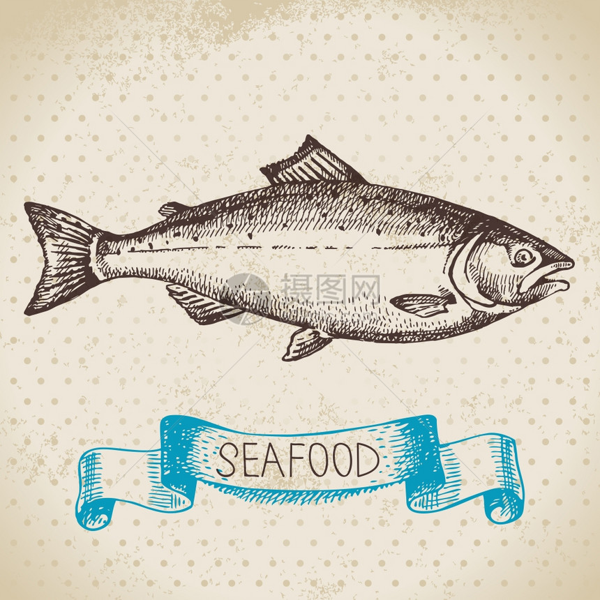 老式的海洋背景手绘鲑鱼海鲜矢量插图图片