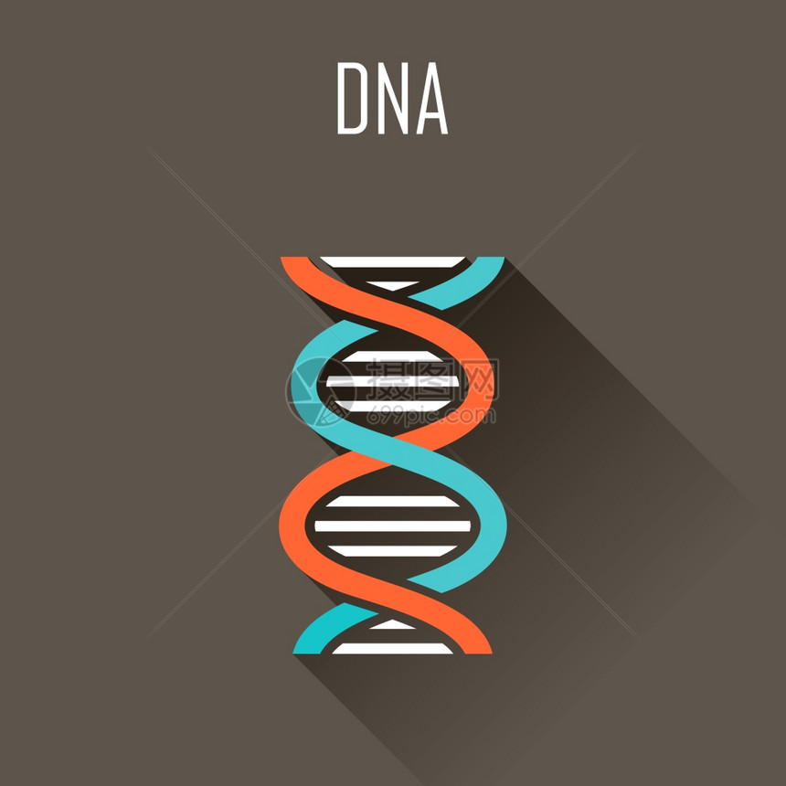 DNA平图标矢量插图图片