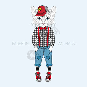 一只鞋人类小猫男孩猫男孩打扮成休闲风格插画