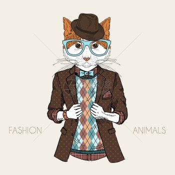 拟人化时尚插图猫穿着时髦的风格图片