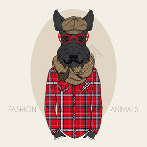 绿白格子围巾苏格兰猎犬穿着格子图案的衬衫插画