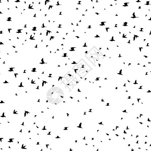 鸽子大条素材鸟的大飞行矢量插图插画
