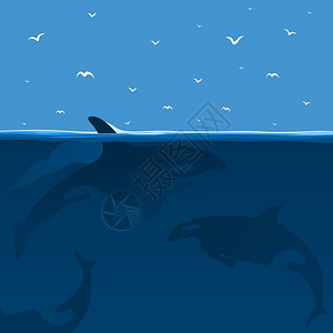 翠湖海鸥鲸鱼海里捕猎矢量插图插画