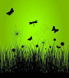 spring5昆虫春天醒来了矢量插图背景图片