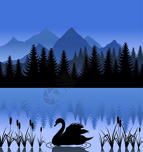 天鹅湖上山湖上的黑天鹅矢量插图图片
