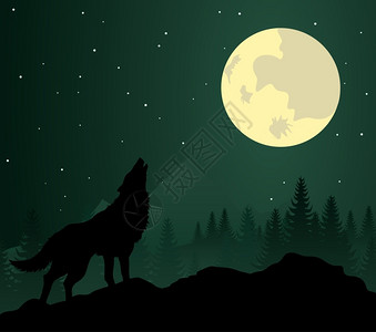 狼2黑夜中燃烧着眼睛的野生动物矢量插图图片