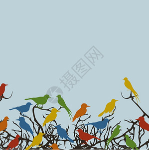 树上的鸟鸟儿的飞翔坐树枝上矢量插图背景图片