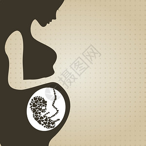 胚胎由女人子宫中的心脏成图片