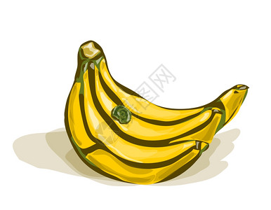 香蕉特写矢量水彩香蕉与阴影白色孤立插画