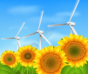 绿色能源生态风背带向日葵草矢量插图背景图片