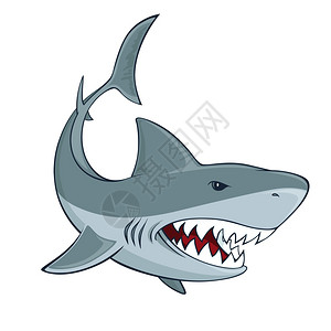 愤怒的鲨鱼标志孤立符号矢量插图背景图片