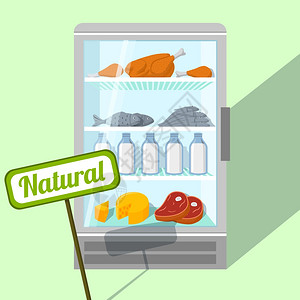 冰箱中的食物冰箱矢量图中鸡鱼肉乳制品的天然食品插画