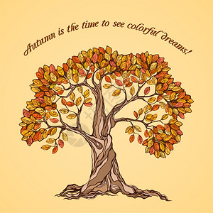 秋天时候看五颜六色的梦想海报与黄色橙色的叶子树矢量插图图片