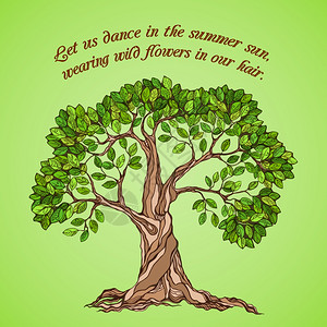 夏季树与绿叶叶海报矢量插图图片