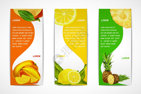 天然机热带水果垂直横幅套芒果柠檬菠萝模板矢量插图图片
