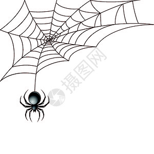 黑色可怕的蜘蛛昆虫与网页背景矢量插图图片
