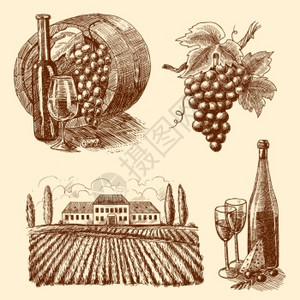 酒庄图片葡萄酒份素描装饰图标桶葡萄枝酒庄孤立矢量插图插画