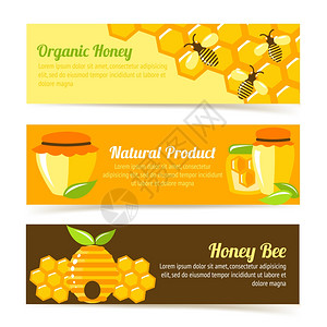 蜜蜂机天然食品横幅与蜂窝锅元素矢量插图图片