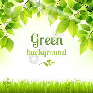 天然绿色鲜春叶草植物叶装饰背景海报打印矢量插图图片