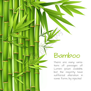 写实青竹植物草树东方日本背景矢量插图背景图片