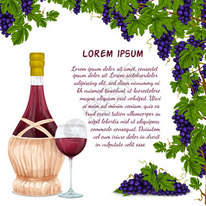 葡萄酒罐璃葡萄装饰背景矢量插图图片