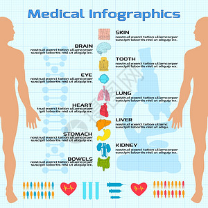 平医学信息与人体轮廓器官图标矢量插图图片