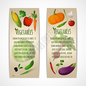 韭菜鸡蛋水饺食物蔬菜涂鸦垂直横幅套玉米胡椒花椰菜胡萝卜橄榄矢量插图插画