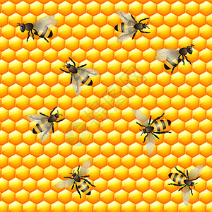飞行蜜蜂与甜蜜梳子无缝图案矢量插图背景图片