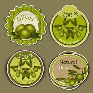 橄榄油沙拉机天然食品特级初榨橄榄油标签孤立矢量插图插画