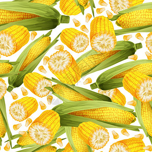 谷物干货平铺蔬菜机食品写实黄色玉米秸秆无缝图案矢量图插画