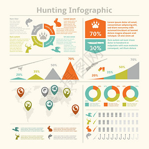 狩猎动物野生动物捕鱼信息图表与图表模板矢量插图图片