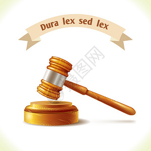 律师照片素材法律图标判断木槌隔离白色背景矢量插图插画