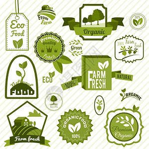 农场新鲜天然产品机生态食品绿色标签孤立矢量插图图片
