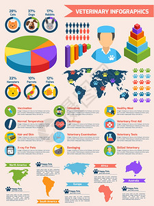 兽医宠物保健动物医学信息集矢量插图图片