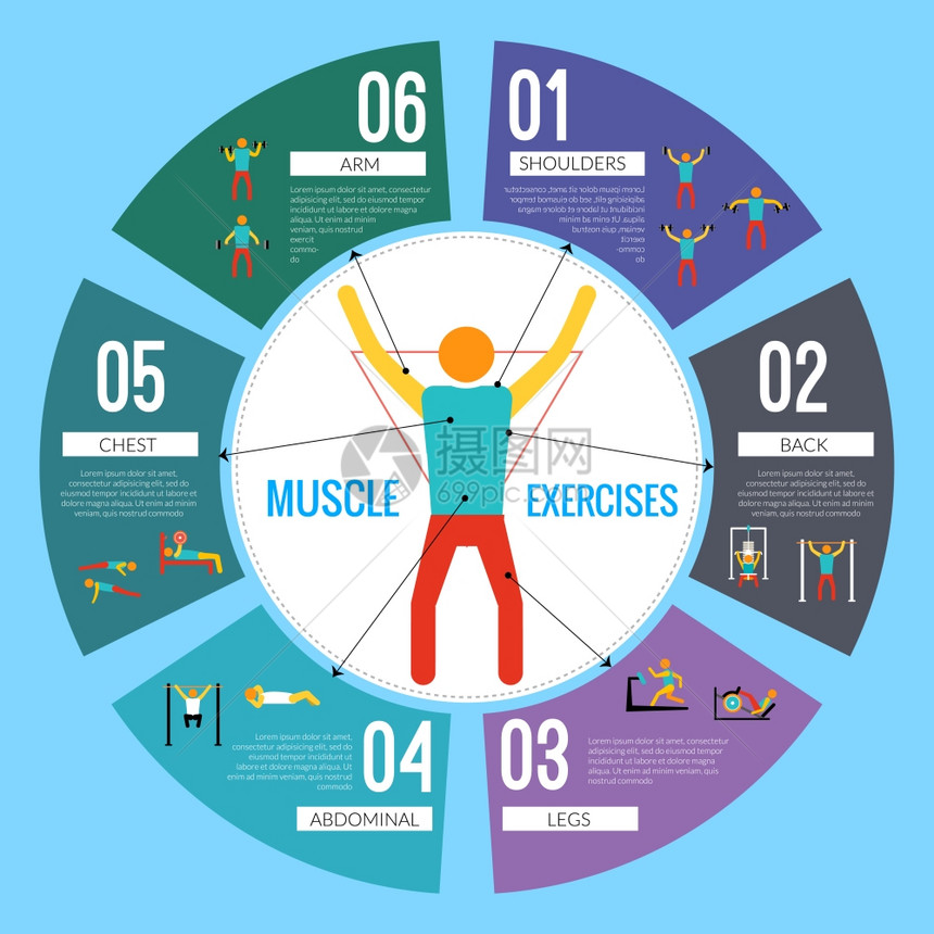 锻炼运动健身训练肌肉练信息矢量图图片