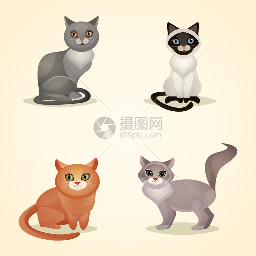 白色灰色棕色坐猫矢量插图图片