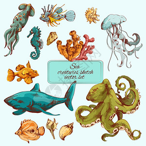 海鱼海洋生物素描彩色装饰图标矢量插图背景图片