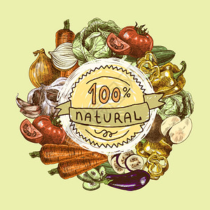 蔬菜天然机新鲜食品颜色静物背景素描矢量插图图片
