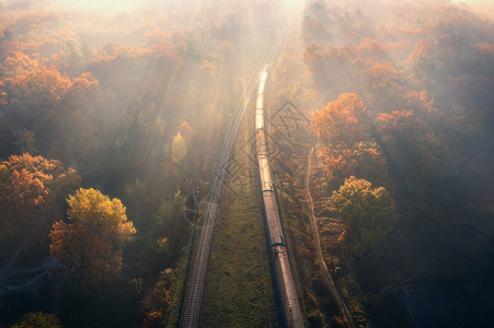 疯了火车秋天日出时雾美丽的森林火车空观察在秋天移动客运列车铁路多彩的风景带橙叶雾树顶端的风景火车站背景