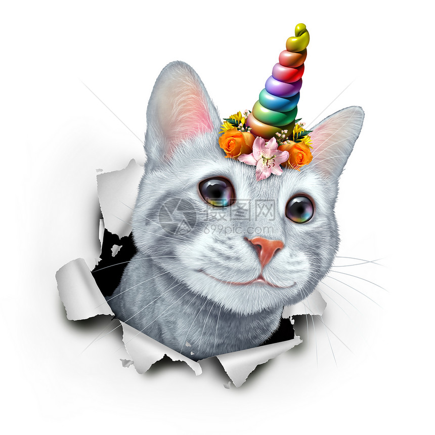 小猫独角兽像一只可爱的小猫与童话般神奇的魔角彩虹猫与花圈3d插图元素图片