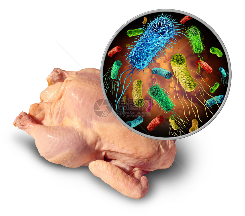 b食物传播的病原体和生家禽的细菌以及摄食受污染物的健康风险作为含有三维成份的安全概念用大肠或沙门氏菌摄食受污染的物图片