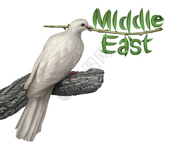滨海湾白色白鸽持橄榄枝叶子以字形式呈现包括百塞湾伊兰吉普特利布亚库维伊萨雷沙乌地阿拉伯syriaudrb寻求谈判解决设计图片