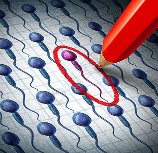 科学冠军奖状人类精子选择和分为生殖概念用于选择婴儿别或最佳男基因将雌蛋作为红铅笔施肥绕着一组细胞所选精子背景