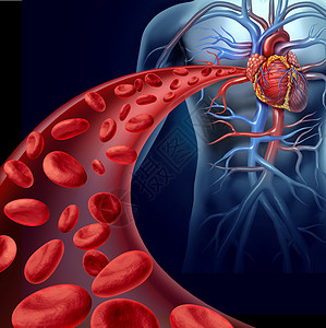 脉管系统红细胞通过人体循环系统三维静脉流动的血红细胞其液健康是心管病和健康的医疗保象征背景