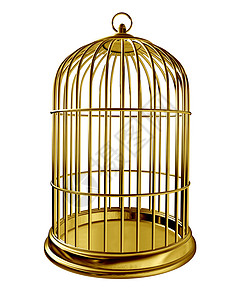 笼子里有金属黄铜作为被囚禁和困或关在闭的牢房里被隔离在白色背景之下背景图片