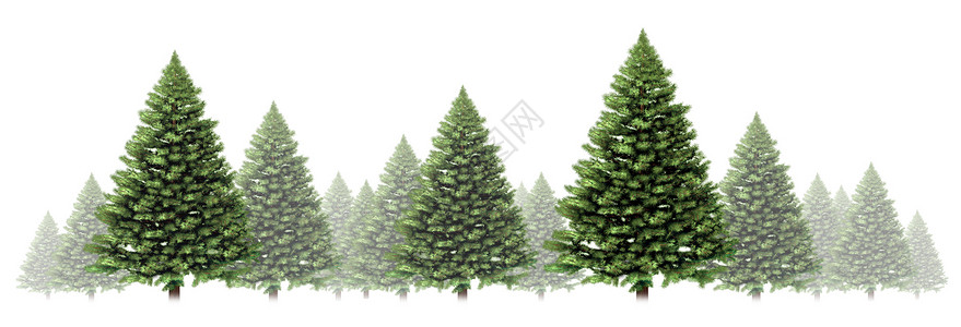 以白色背景的绿圣诞树为特的松冬季边框设计背景图片